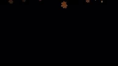 4K秋天枫叶粒子特效视频的预览图